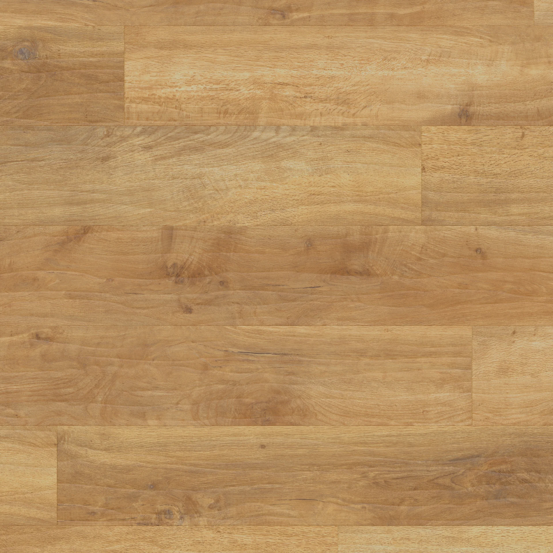 Karndean Art Select Spring Oak