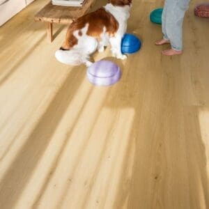 Living room with dog and colorful floor cushions on Quick-Step Alpha Bloom Brushed Oak Honey vinyl flooring