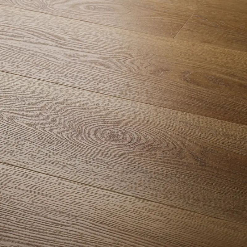 Close up view of textures summer oak plank showing detailed wood grain texture