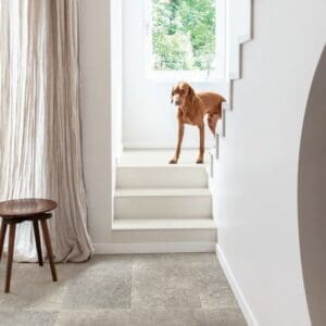 Staircase with wooden steps and Dusky Bluestone laminate flooring in hallway