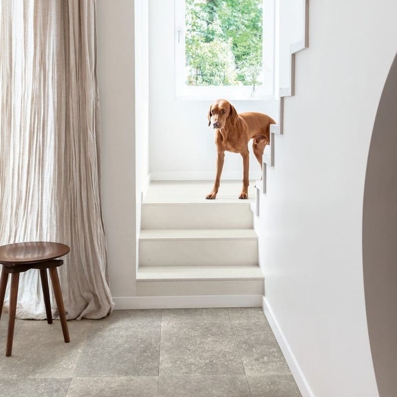Staircase with wooden steps and Dusky Bluestone laminate flooring in hallway