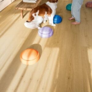 Water droplets on Quick-Step Alpha Bloom Brushed Oak Honey vinyl flooring demonstrating its waterproof properties