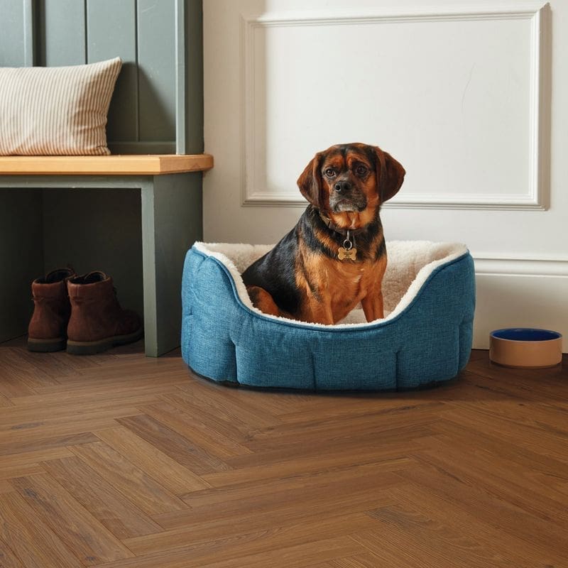 Bologna oak herringbone flooring in living room with blue dog bed